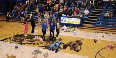 Teddy Bear Toss Pic 3
