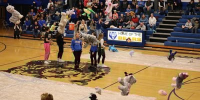 Teddy Bear Toss Pic 2