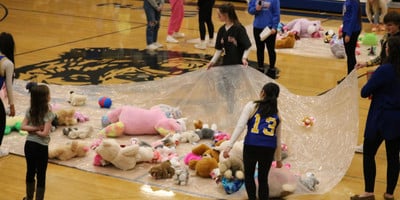 Teddy Bear Toss Pic 5