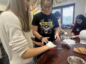 Ava plastering someone's hand.